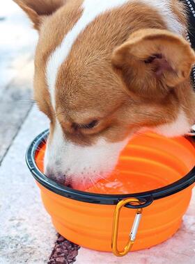 Summer Portable Pet Dog Water Bottle 300ml Drinking Bowl for