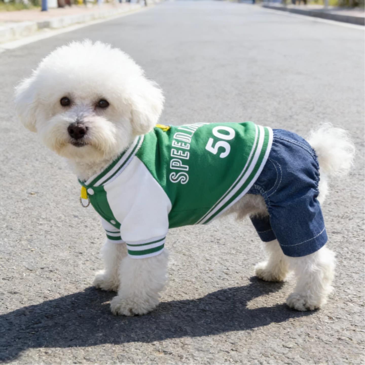 狗狗衣服春夏薄款棒球服泰迪比熊博美中小型犬帅气卫衣宠物四脚衣