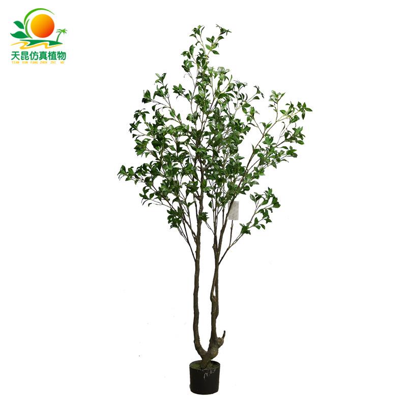 仿真马醉木假植物盆栽小型假树室内盆景装饰塑胶杆假绿植仿真树