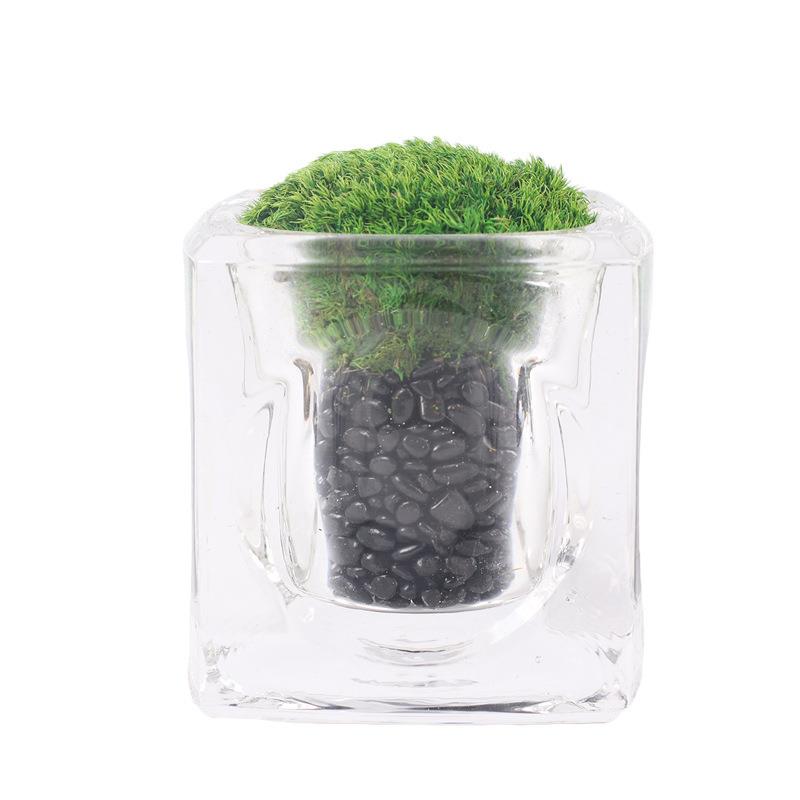 日式禅意小治愈永生苔藓观山礼品植物绿植微景观盆栽趣味桌面摆件