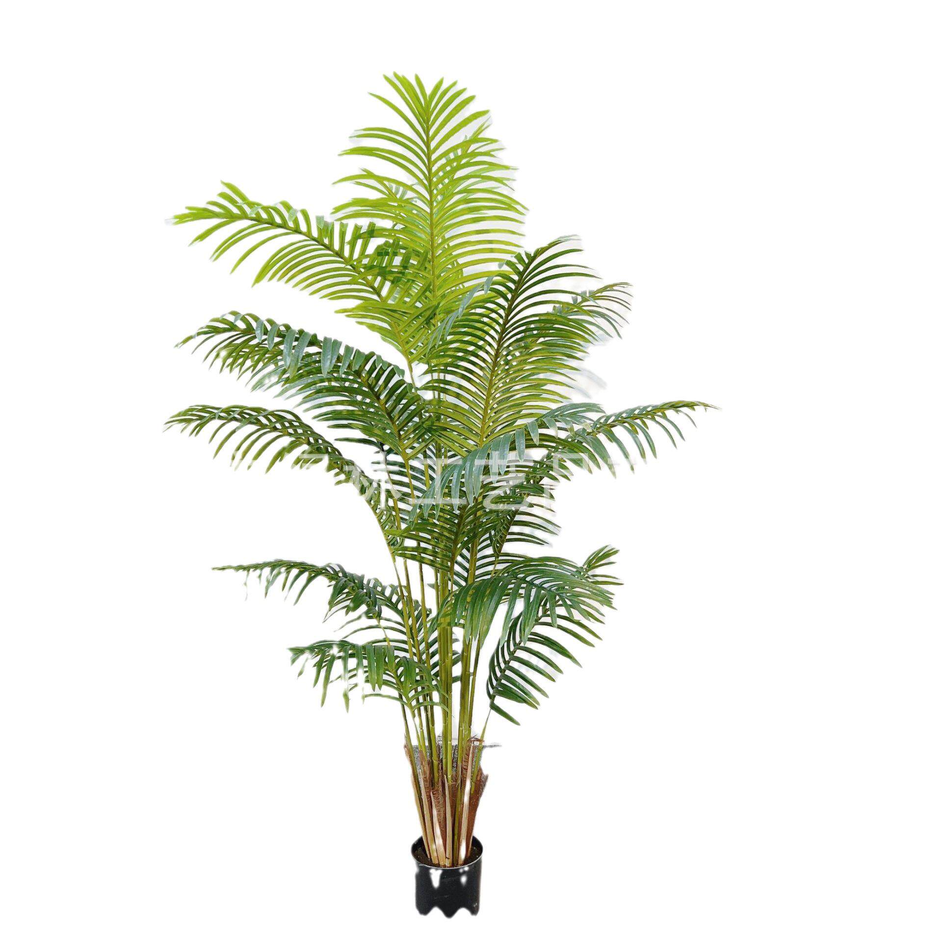 仿真散尾葵假绿植盆栽北欧家居仿真凤尾葵树贵妃葵珍珠葵树可
