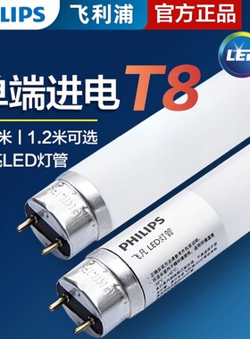 飞利浦T8飞凡LED日光灯0.6m灯管8w1.2米16W单端进电家用车间光管