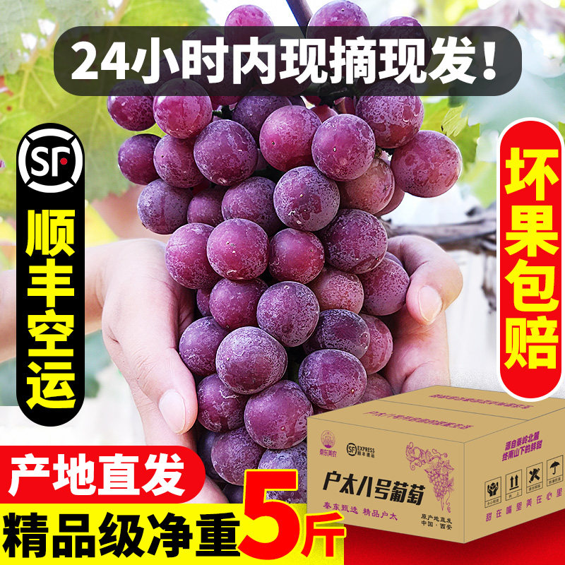 当季水果罕见整箱礼盒送人