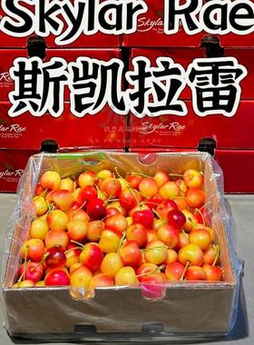 智利进口斯凯拉雷黄樱桃金车厘子水果skylar rae雷尼尔高端礼盒