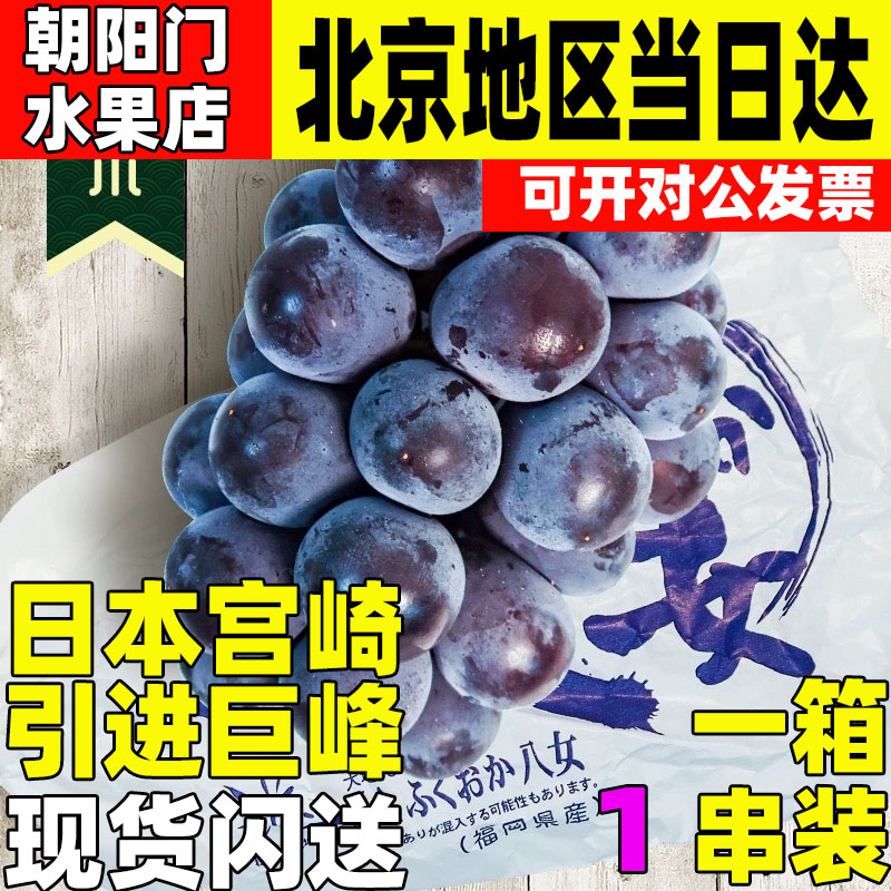端午节礼盒送人水果整箱