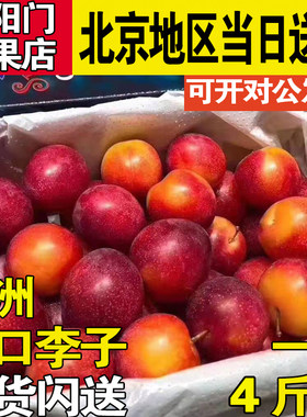 澳洲樱桃李1盒进口李子4斤樱桃味小李子超甜孕妇水果顺丰空运