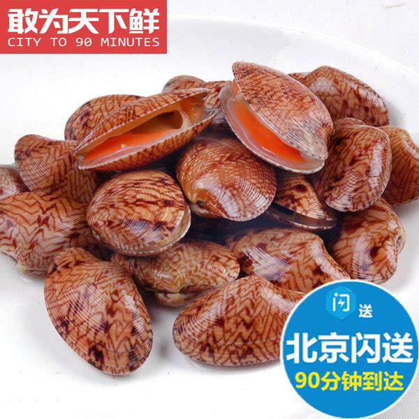 500g 北京闪送 鲜活 芒果贝 海鲜 海南特产 贝壳 水产 野生鲜甜