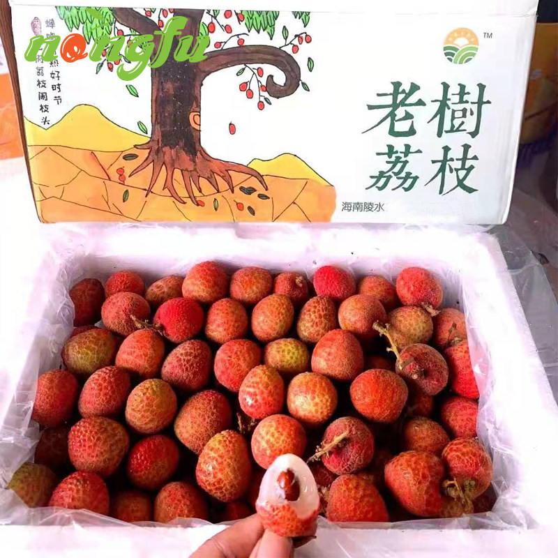 海南三亚现摘航空荔枝当季桂花香新鲜水果3斤桂花香荔枝孕妇水果