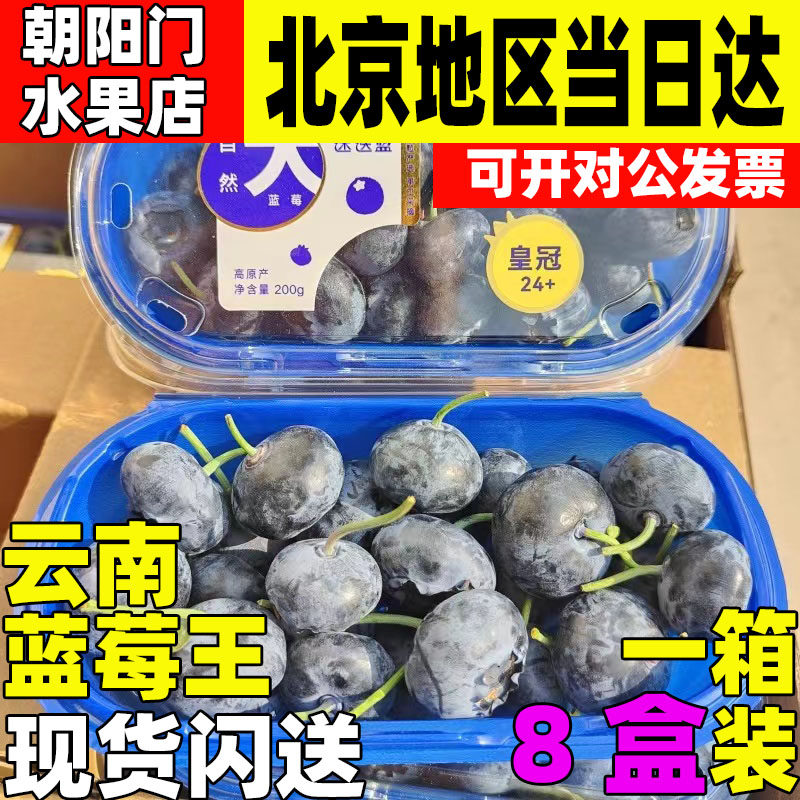 云南蓝莓王迷迭蓝超大皇冠24+自然大蓝莓鲜果8盒纯甜脆顺丰空运