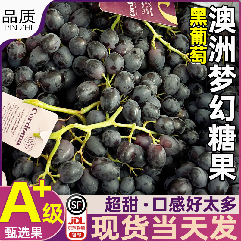 当季水果新鲜应季顺丰
