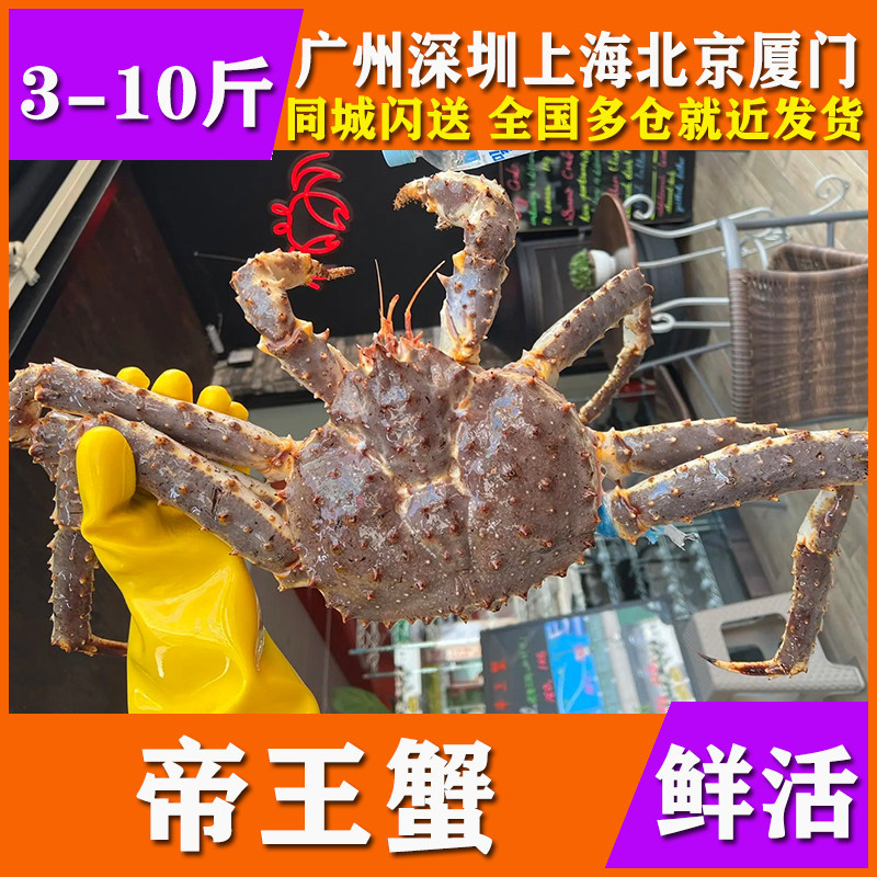鲜活帝王蟹新鲜海鲜水产特超大皇帝椰子蜘蛛松叶花椒面包长脚蟹
