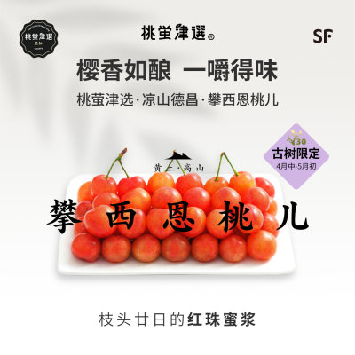 限定！桃萤津选 攀西恩桃儿 樱香如酿型 凉山老品种小恩桃 礼盒SF