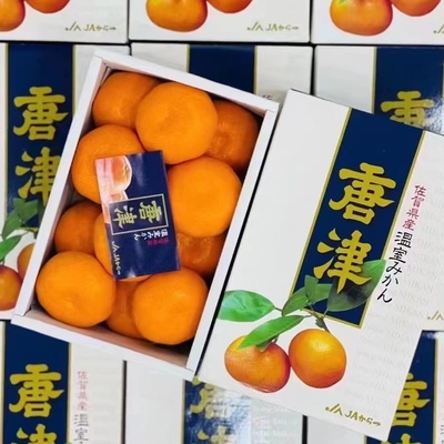 佐贺唐津蜜柑日本品种温室薄皮橘子爱媛蜜橘新鲜水果礼盒孕妇柑橘