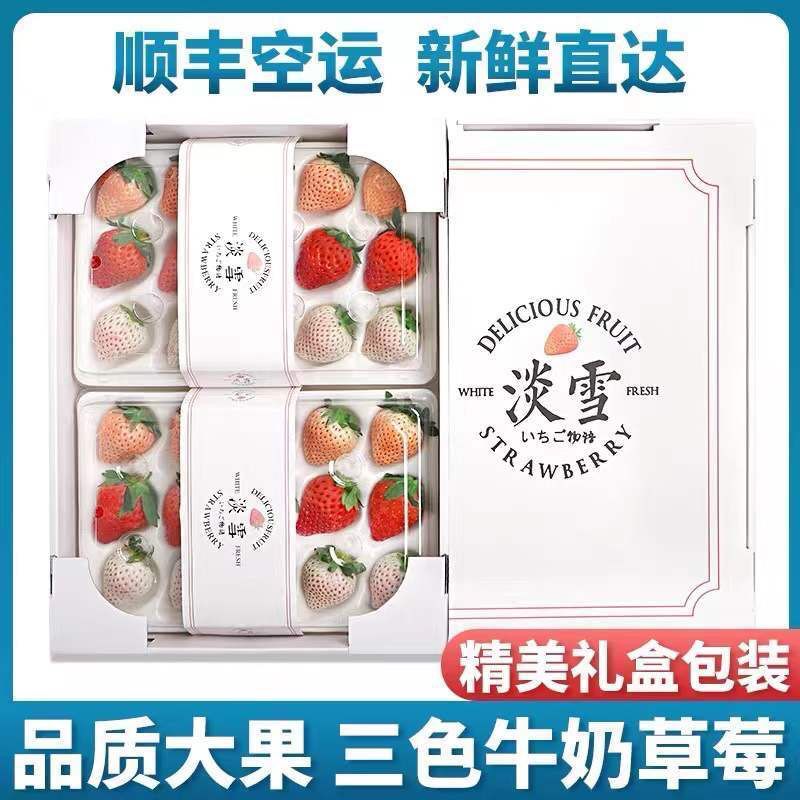 三色淡雪白草莓红颜白色恋人礼盒装牛奶草莓白雪公主新鲜高档