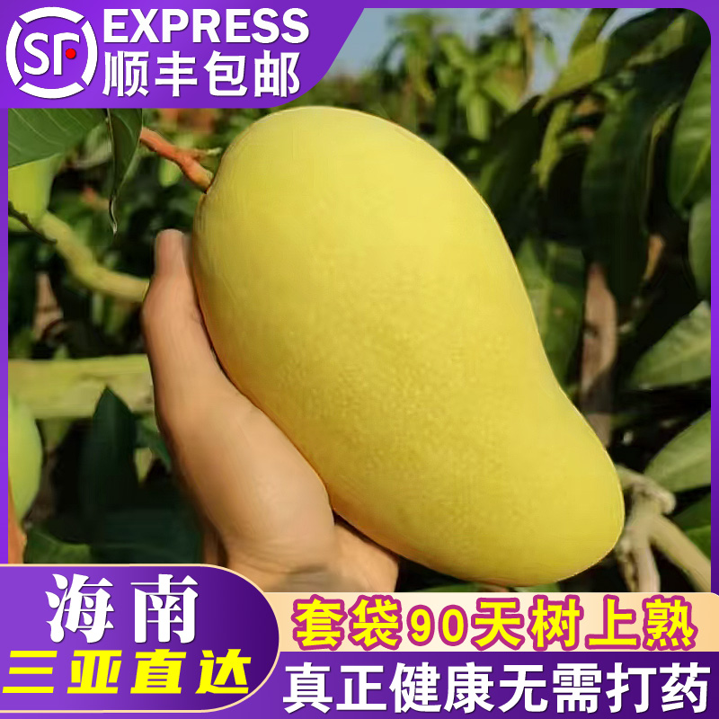 当季整箱水果应季孕妇