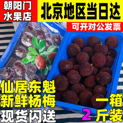 正宗仙居东魁大杨梅新鲜当季孕妇水果现摘现发顺丰现货应季礼盒