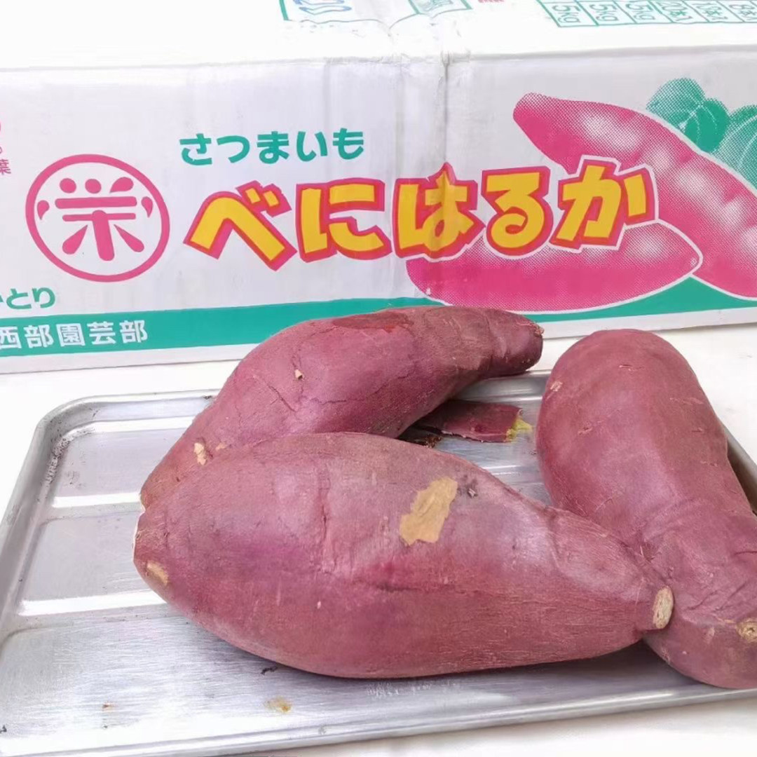 千葉县番薯玛莎莉地瓜新鲜红薯无筋粉甜高甜度日本地瓜似品种
