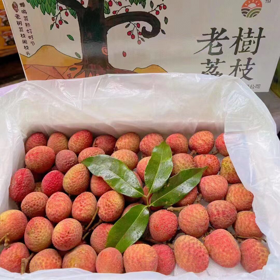 空运现摘海南荔枝新鲜桂花香荔枝老树早熟3斤孕妇当季水果整箱
