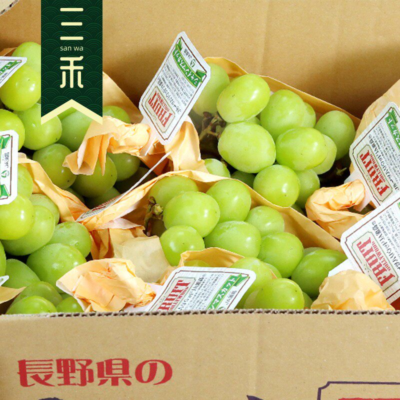 长野香印青提青印阳光翠玉青幻麝香提子深圳同城葡萄包邮1串600g