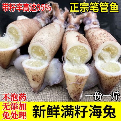 新鲜满籽海兔笔管鱼小枪鱼小鱿鱼冷冻海鲜水产不泡发无添加一斤装