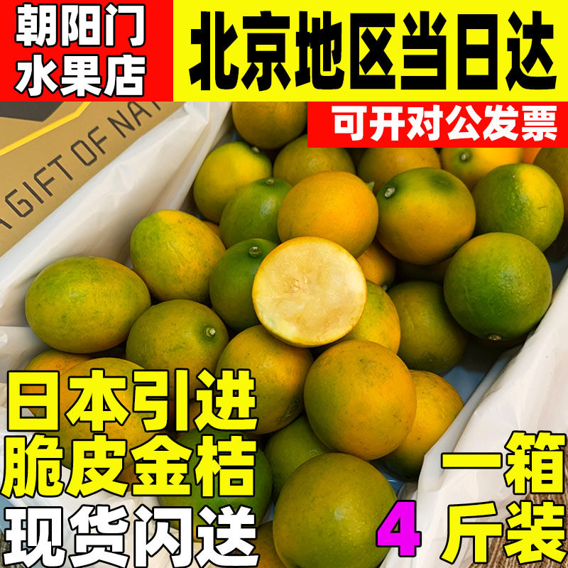 日本引进蜜蛋脆皮甜金桔原箱礼盒4斤大果当季新鲜孕妇水果