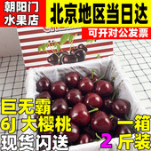 俄八新鲜当季 空运大连美早丸淇大樱桃车厘子礼盒装 水果包顺丰