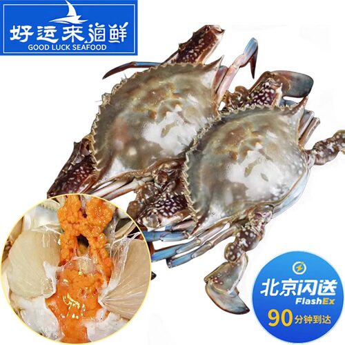 北京闪送 2斤1份 3-4两 鲜活满黄母梭子蟹 膏蟹螃蟹海蟹约6-7只