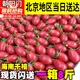 新鲜水果海南番茄柿子孕妇水果生吃小番茄甜度高 千禧小番茄5斤装