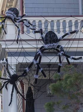 Black White Halloween Spider Web Giant Stchy Cobweb For
