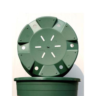 More large flower pot plastic plant trU62665ees green plant