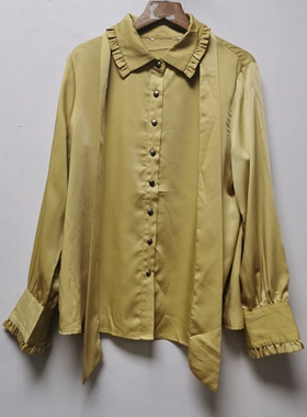 艺天丝职业系列去标撤柜女装夏季新款感100聚酯纤维衬衫女C052