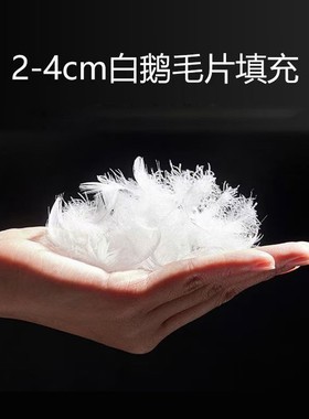 厂家直销2-4cm 水洗白鹅绒片质量保证羽绒沙发靠垫抱枕填充物蓬松