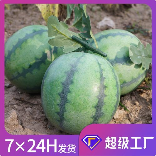 仿真新款西瓜保利龙泡沫西瓜模型静物摆拍道具儿童教具真水果