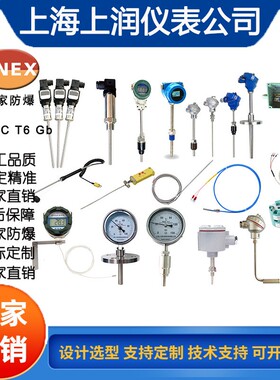 TD2291金属顶部显示温度变送器传感器上海上润仪表