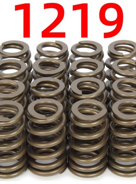 PAC-1219蜂窝式气门弹簧 升程 .625