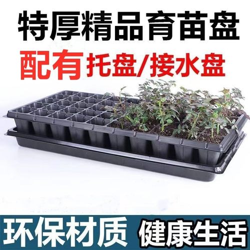 育苗盘加厚穴盘秧苗扦插托盘营养杯蔬菜无孔育苗盆家用厂家