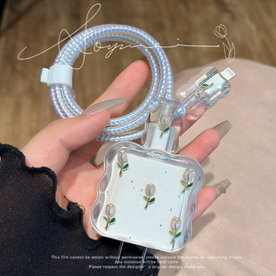 适用20W苹果充电器保护壳iphone16 14max充电器线保护套防折断防猫咬缠绕线耳机 15pro