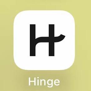 Hinge会员周卡月卡季卡半年充值你自己的账号Hinge＋HingeX会员