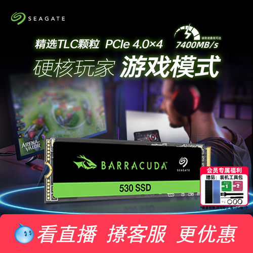 【抽黑神话悟空】固态硬盘希捷