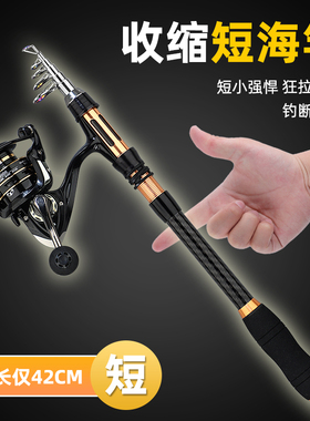龙之首迷你小海竿短节海杆抛竿套装可变节甩竿碳素超硬远投路亚竿