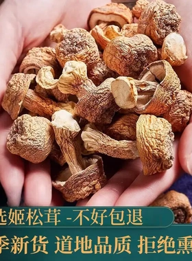 云南特产姬松茸干货商用巴西蘑菇煲汤食材仿野生种植松茸菌菇干货