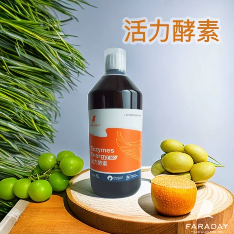 法乐迪活力酵素/消化酶/促进消化
