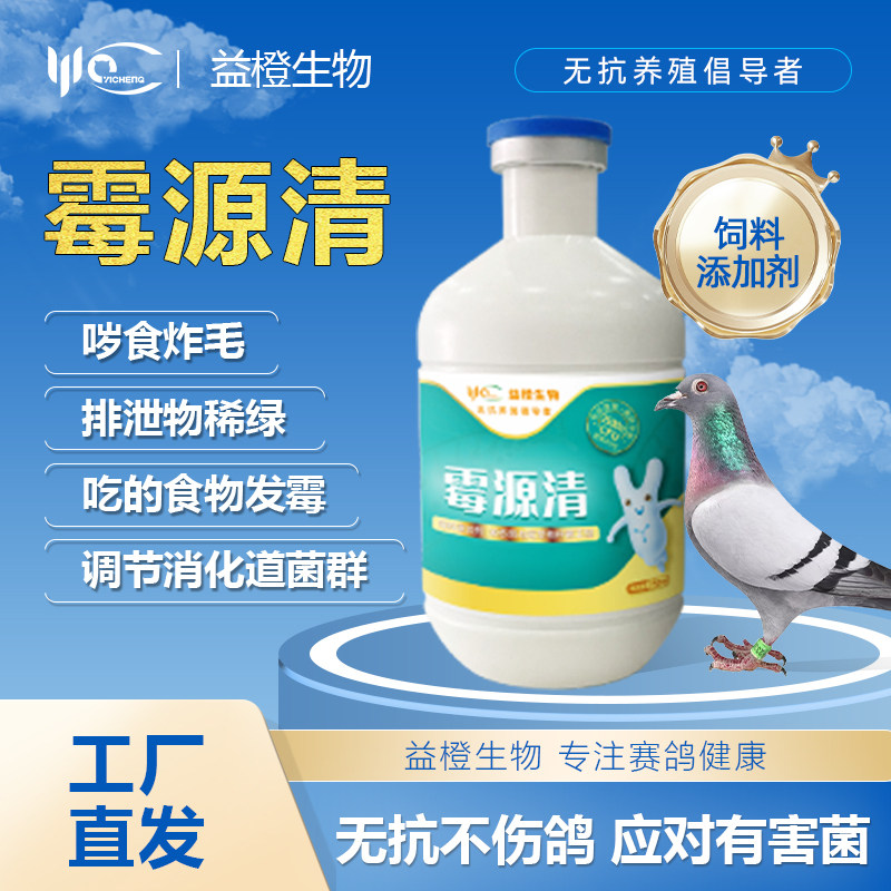益橙霉源清赛鸽脱霉调肠道吐水