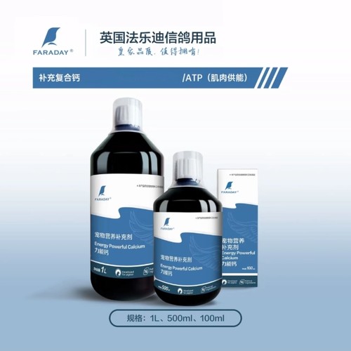 力能钙种赛鸽幼鸽补钙拌料磷钙液