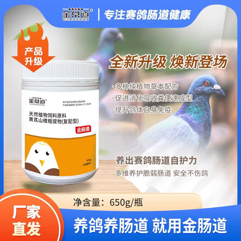 金肠道赛鸽肠道调理促消化平衡菌