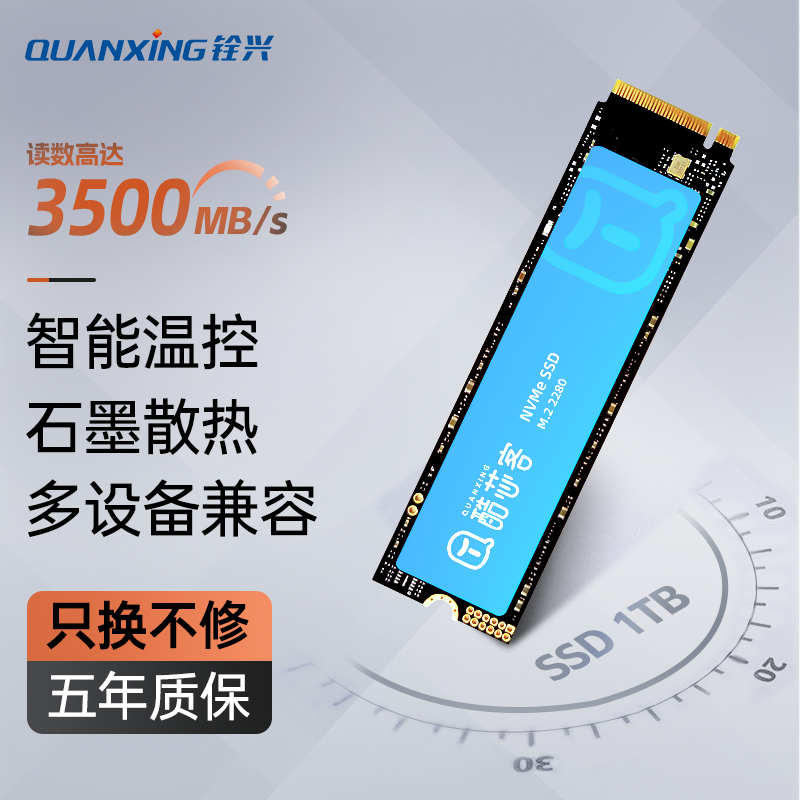 铨兴SSD固态硬盘2T1T酷芯客512GB存储配件M.2接口超快速P300