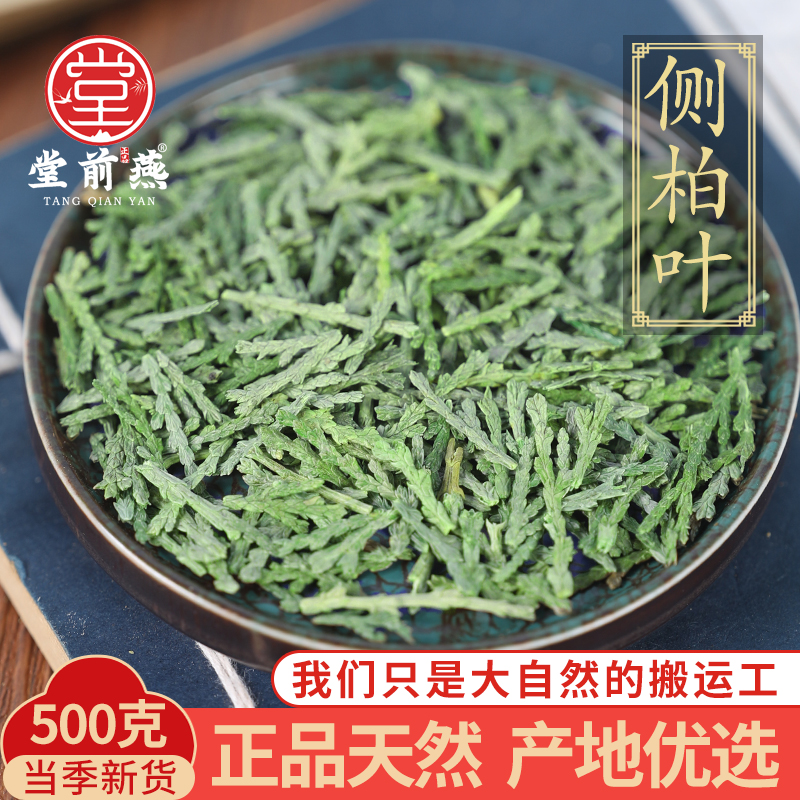 中药材精选侧柏叶侧伯叶粉扁柏叶新鲜安徽洗发500g干姜何首乌