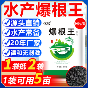 长根粒粒肥水产虾蟹养殖伊乐藻轮叶黑藻水草专用促进生长快速肥水