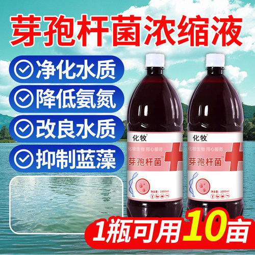 枯草芽孢杆菌液体水剂水产养殖降解氨氮去油膜净化水质复合芽孢