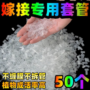 植物嫁接专用套管内径10mm花卉果树藤类通用软管植树园艺丁育苗管